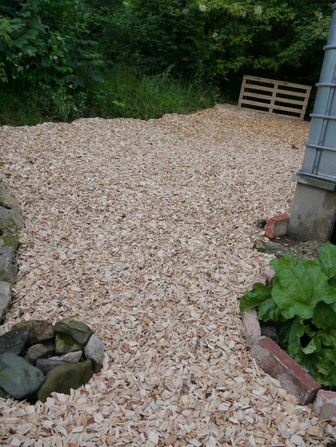 Elfenhaeuschen Mit 3 Dtv Sternen Ausgezeichnet Bad Harzburg Exterior foto