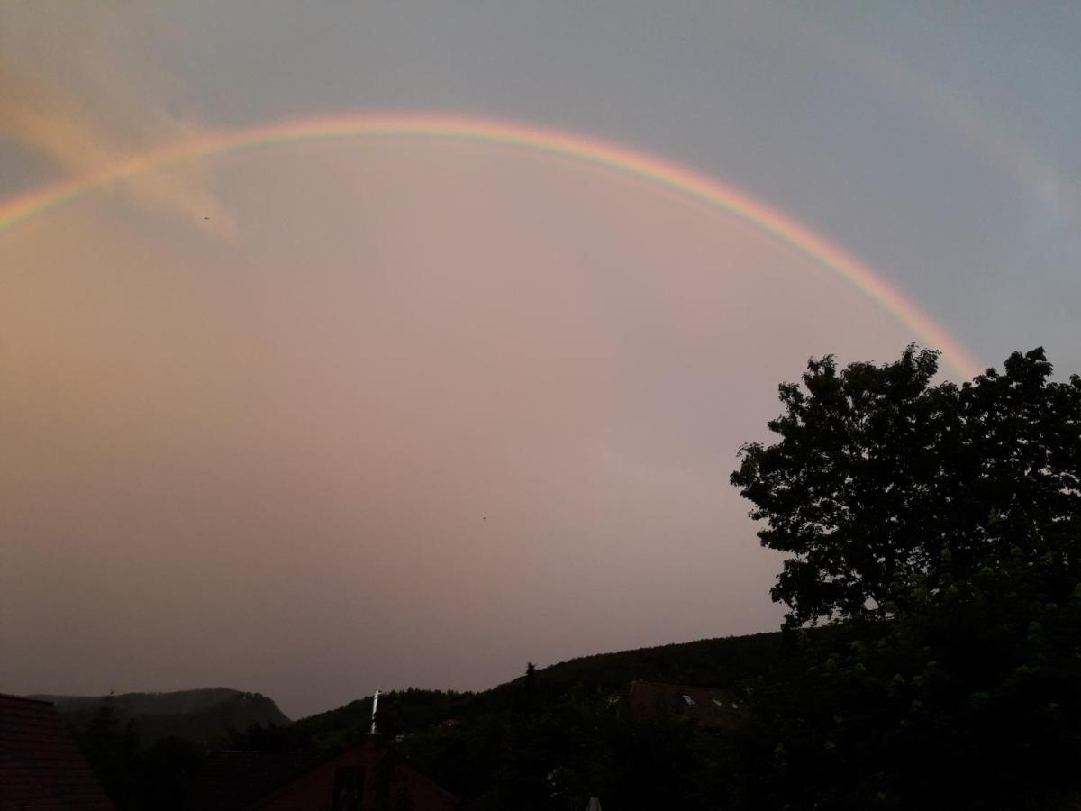 Elfenhaeuschen Mit 3 Dtv Sternen Ausgezeichnet Bad Harzburg Exterior foto