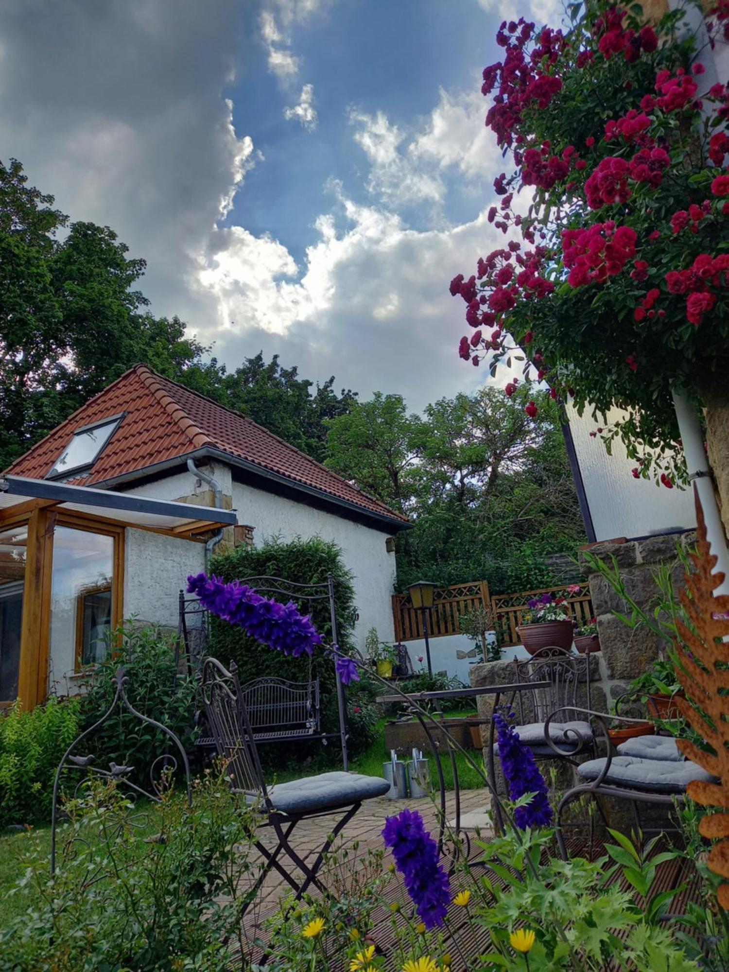 Elfenhaeuschen Mit 3 Dtv Sternen Ausgezeichnet Bad Harzburg Exterior foto