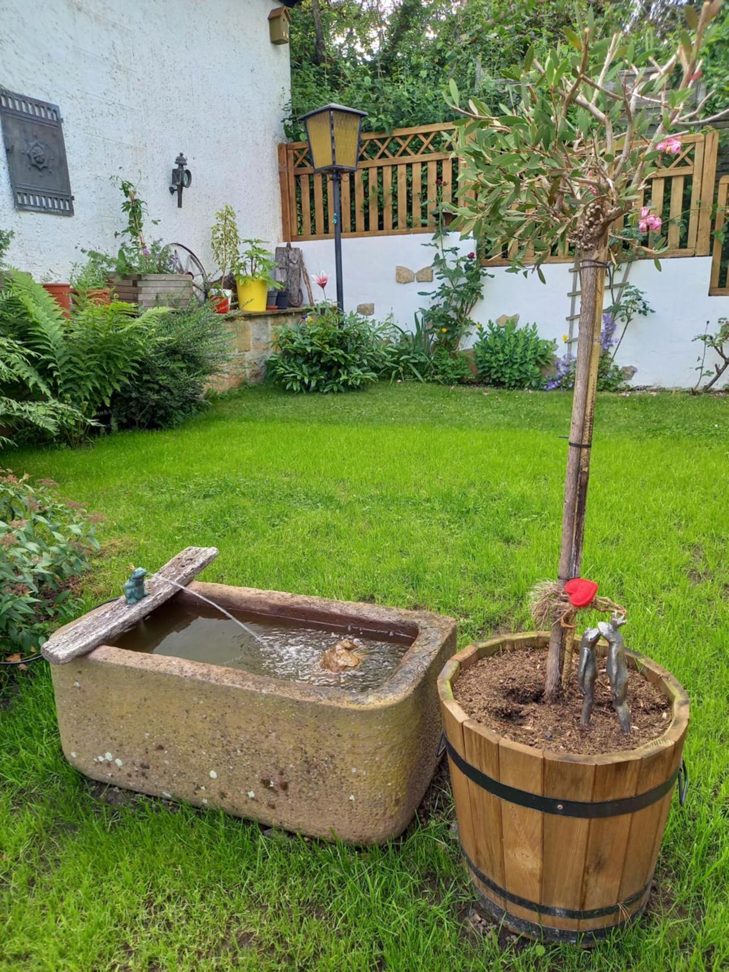 Elfenhaeuschen Mit 3 Dtv Sternen Ausgezeichnet Bad Harzburg Exterior foto