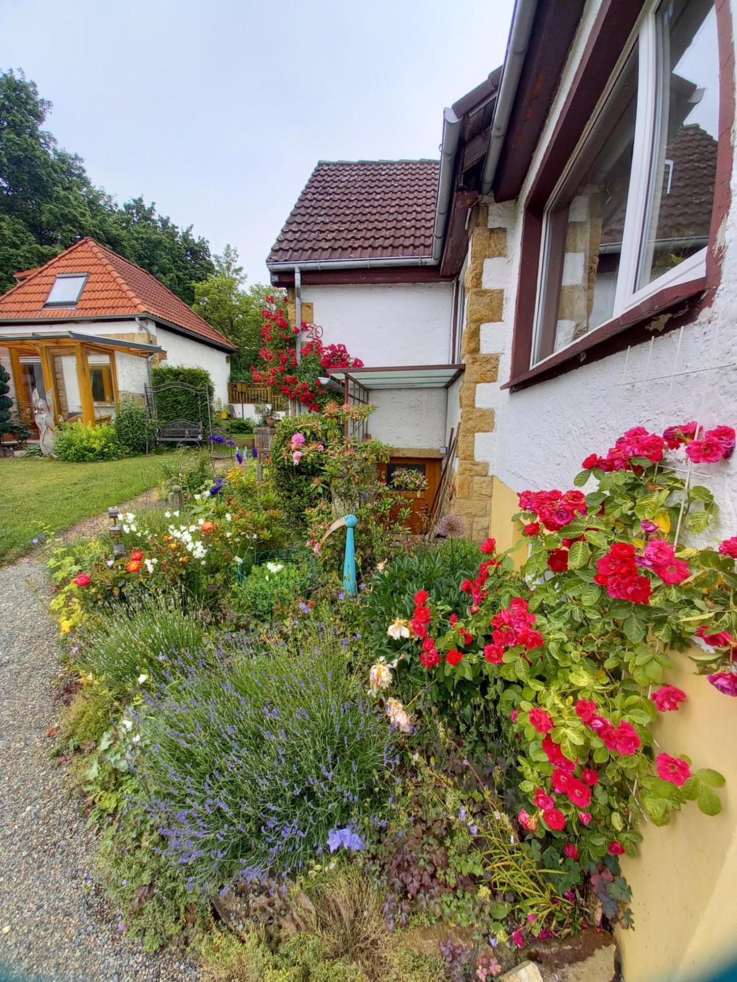 Elfenhaeuschen Mit 3 Dtv Sternen Ausgezeichnet Bad Harzburg Exterior foto
